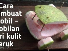 Cara Membuat Mainan dari Kulit Jeruk: Kreasi Seru yang Mengurangi Limbah