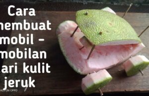 Cara Membuat Mainan dari Kulit Jeruk: Kreasi Seru yang Mengurangi Limbah